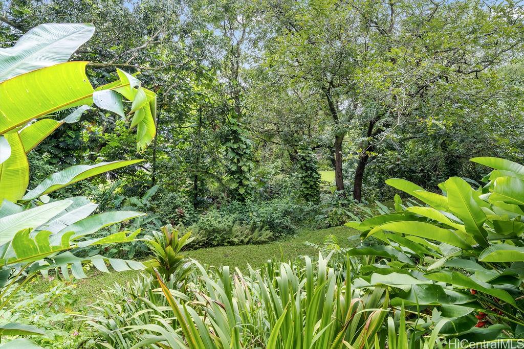 3242 Pelekane Drive Honolulu, HI 96817 - Photo 2 of 25 a view of a plant in a garden