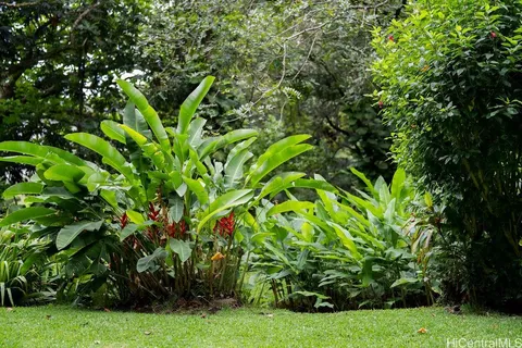 a backyard of a house with lots of green space