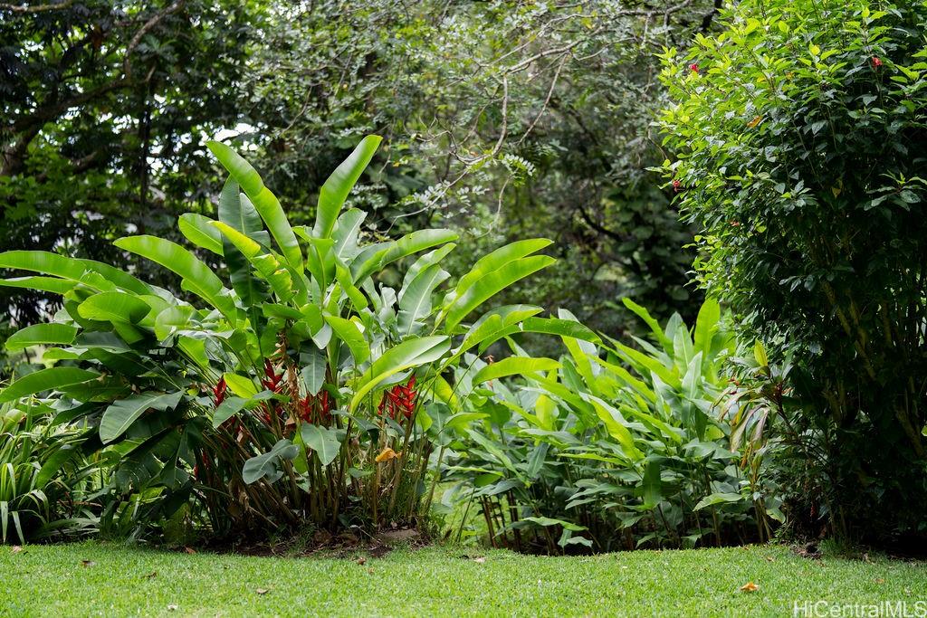 3242 Pelekane Drive Honolulu, HI 96817 - Photo 21 of 25 a backyard of a house with lots of green space