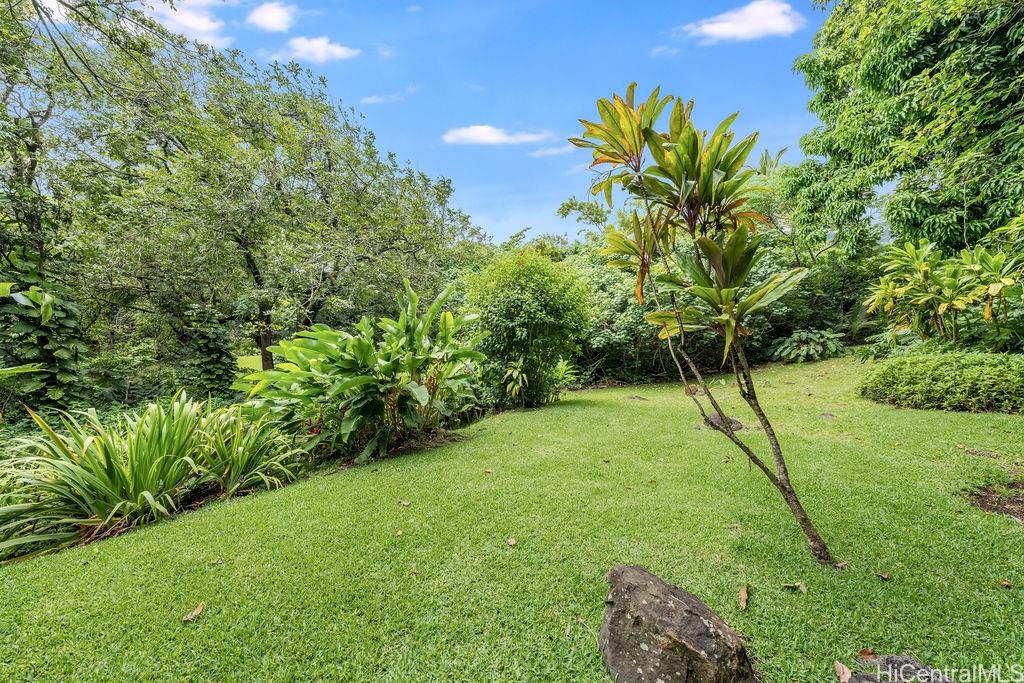 3242 Pelekane Drive Honolulu, HI 96817 - Photo 5 of 25 a view of a yard with a tree