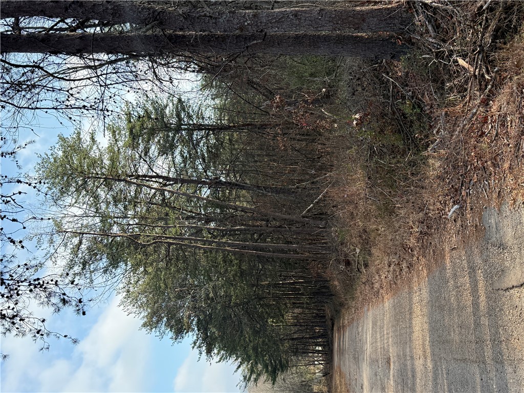 0 Woodall Mountain Road Pickens, SC 29671 - Photo 4 of 7