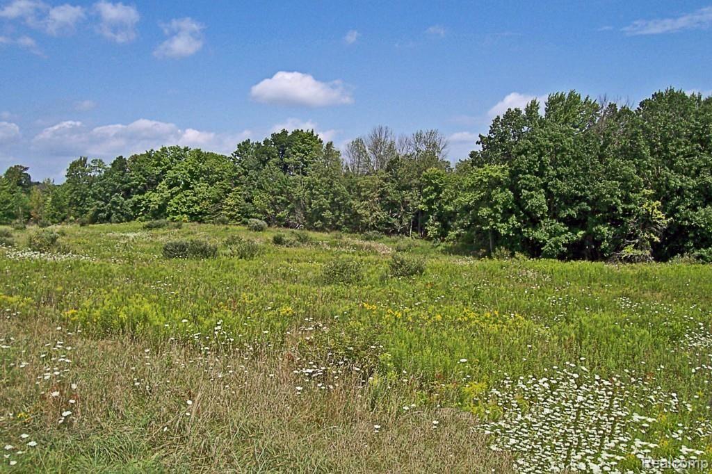 0 Townhall Road Fenwick, MI 48834 - Photo 2 of 9