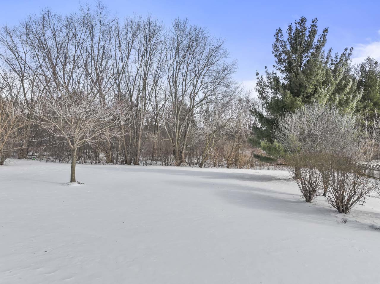 1575 Old Forge Road Bartlett, IL 60103 - Photo 47 of 52