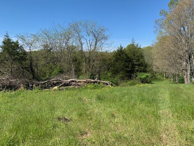 Hammond School Road Owenton, KY 40359 - Photo 3 of 11 Gallery Image 3