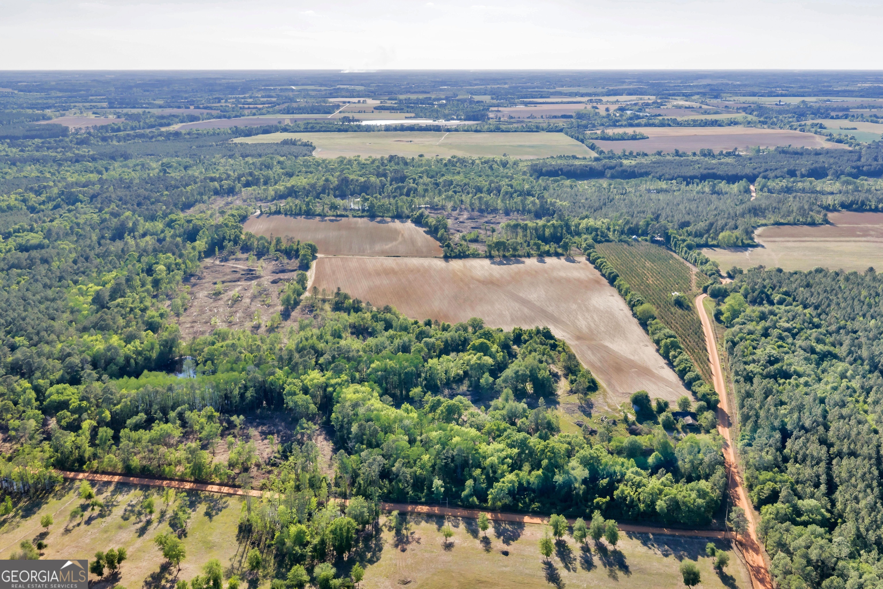 0 Daffodil Road Ocilla, GA 31774 - Photo 1 of 1 Gallery Image 1
