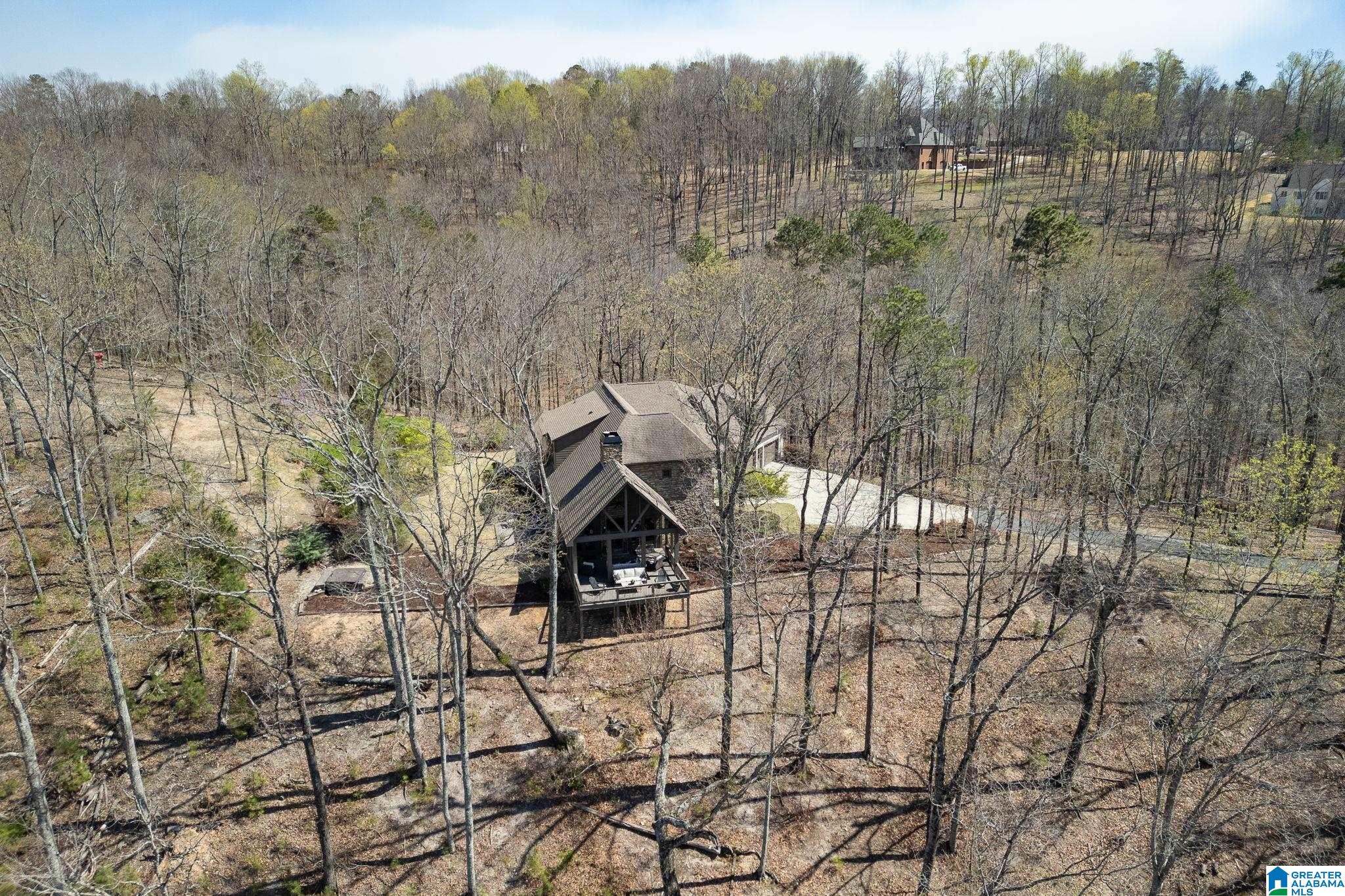 1045 Stagg Run Trail Pelham, AL 35124 - Photo 2 of 68
