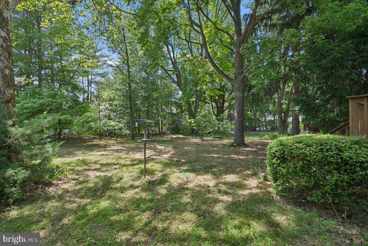 171 1 Mile Road Cranbury, NJ 08512 - Photo 35 of 39 Backyard