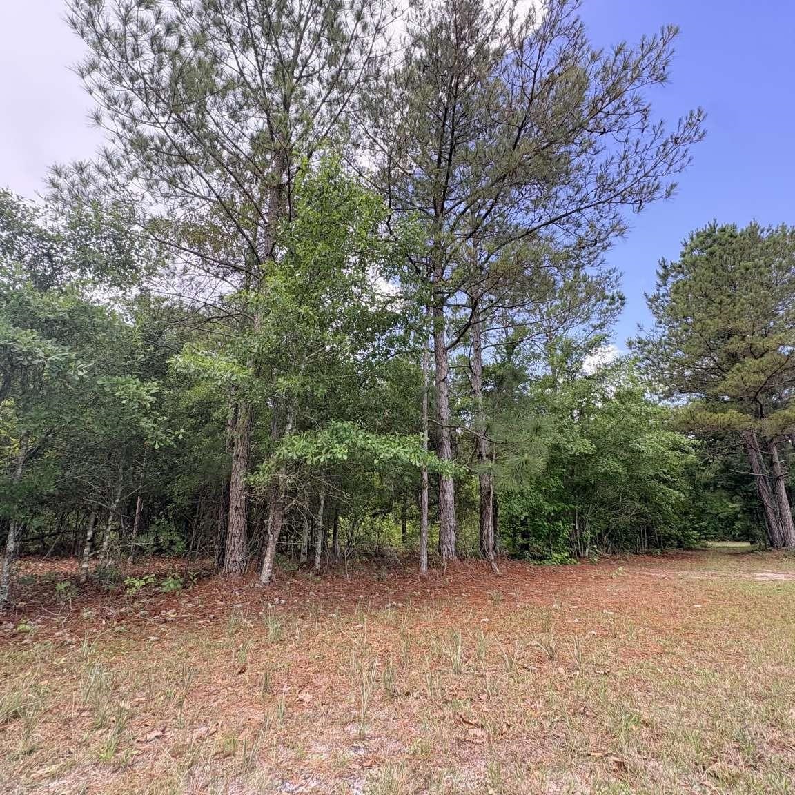 1660 Nathan Drive Loris, SC 29569 - Photo 45 of 47