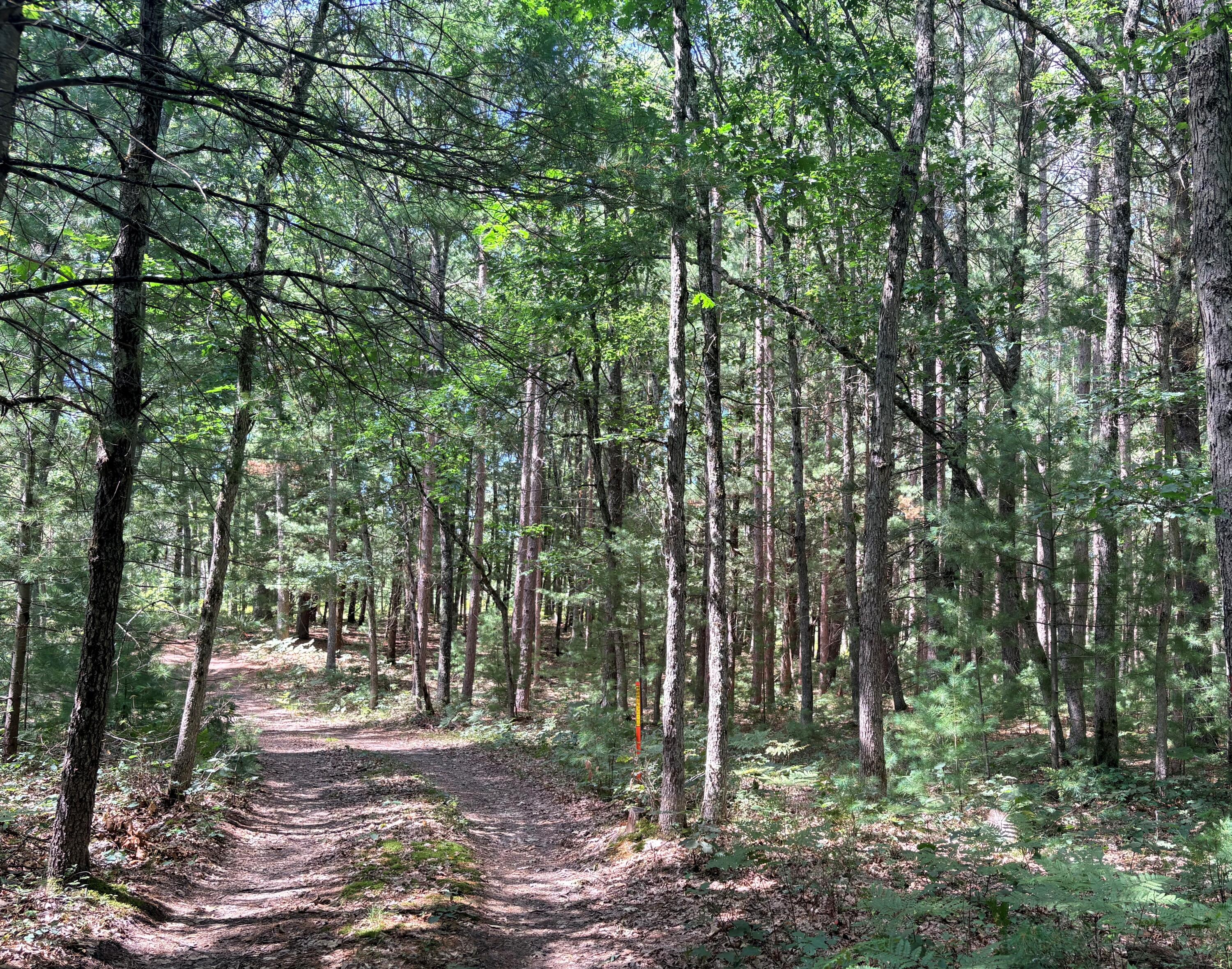 South Skocelas Road South Manistee, MI 49660 - Photo 59 of 64 Property line marker between private and