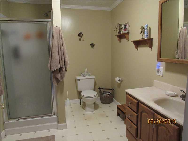 1199 Brush Run Road Washington, PA 15301 - Photo 14 of 25 Master Bath/Spa.