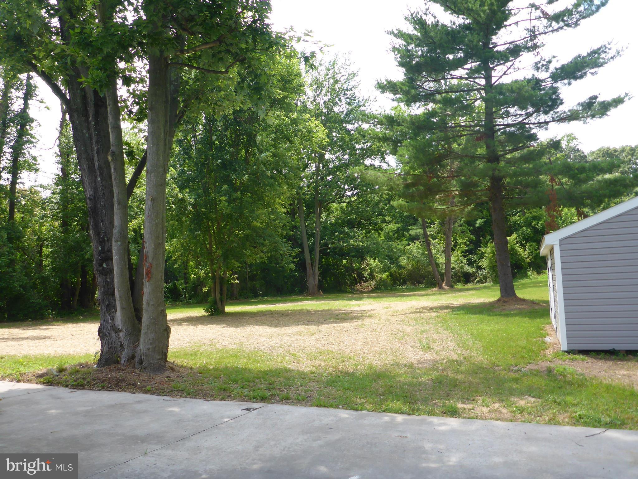285 Hilltop Road Elkton, MD 21921 - Photo 5 of 28 Large Rear Yard