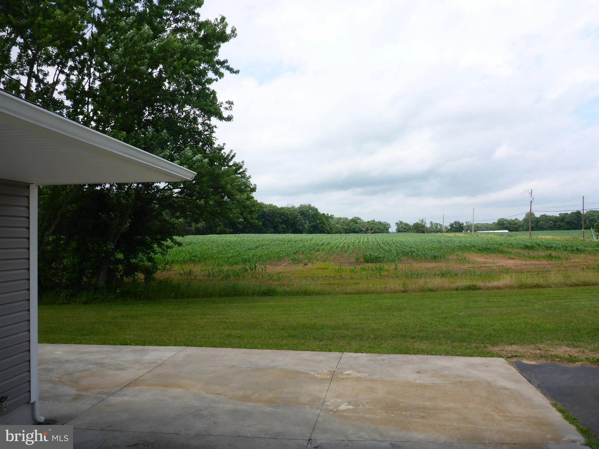 285 Hilltop Road Elkton, MD 21921 - Photo 6 of 28 Space for a garden