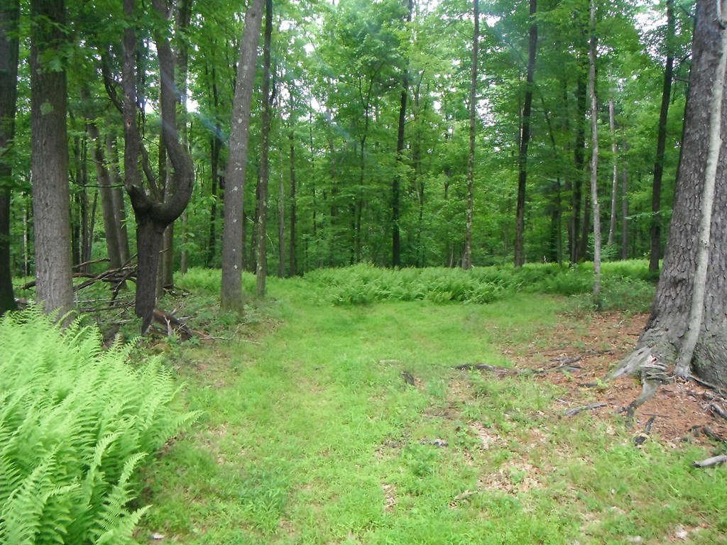 0 Neiltown Road Pleasantville, PA 16341 - Photo 4 of 11 a view of outdoor space and green space