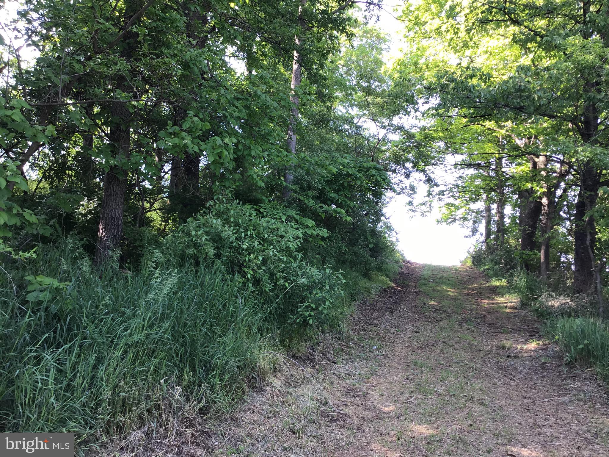 5624 Orphanage Road Waynesboro, PA 17268 - Photo 2 of 4 Drive way