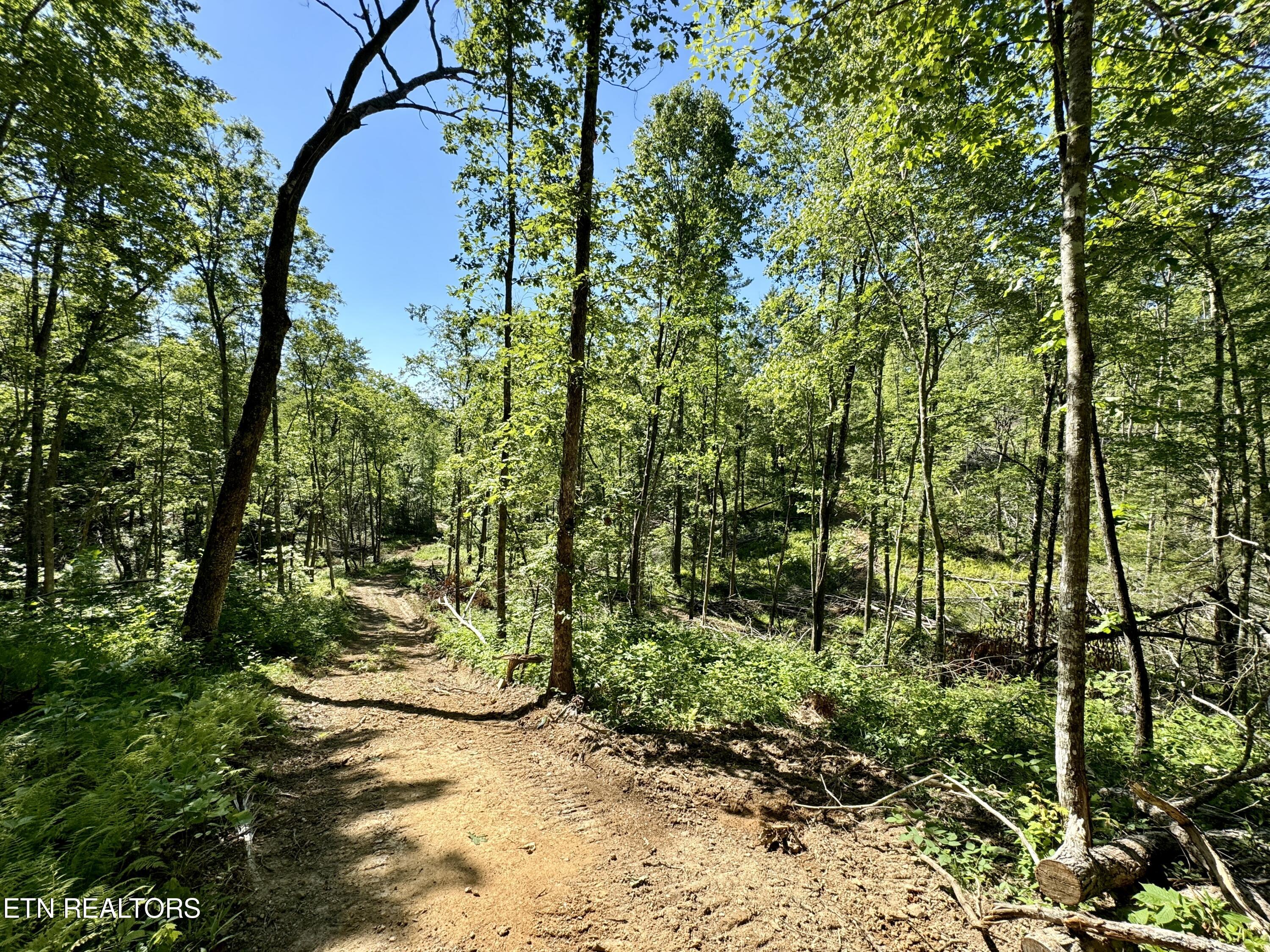 South Rome Road Lancing, TN 37770 - Photo 1 of 32 1