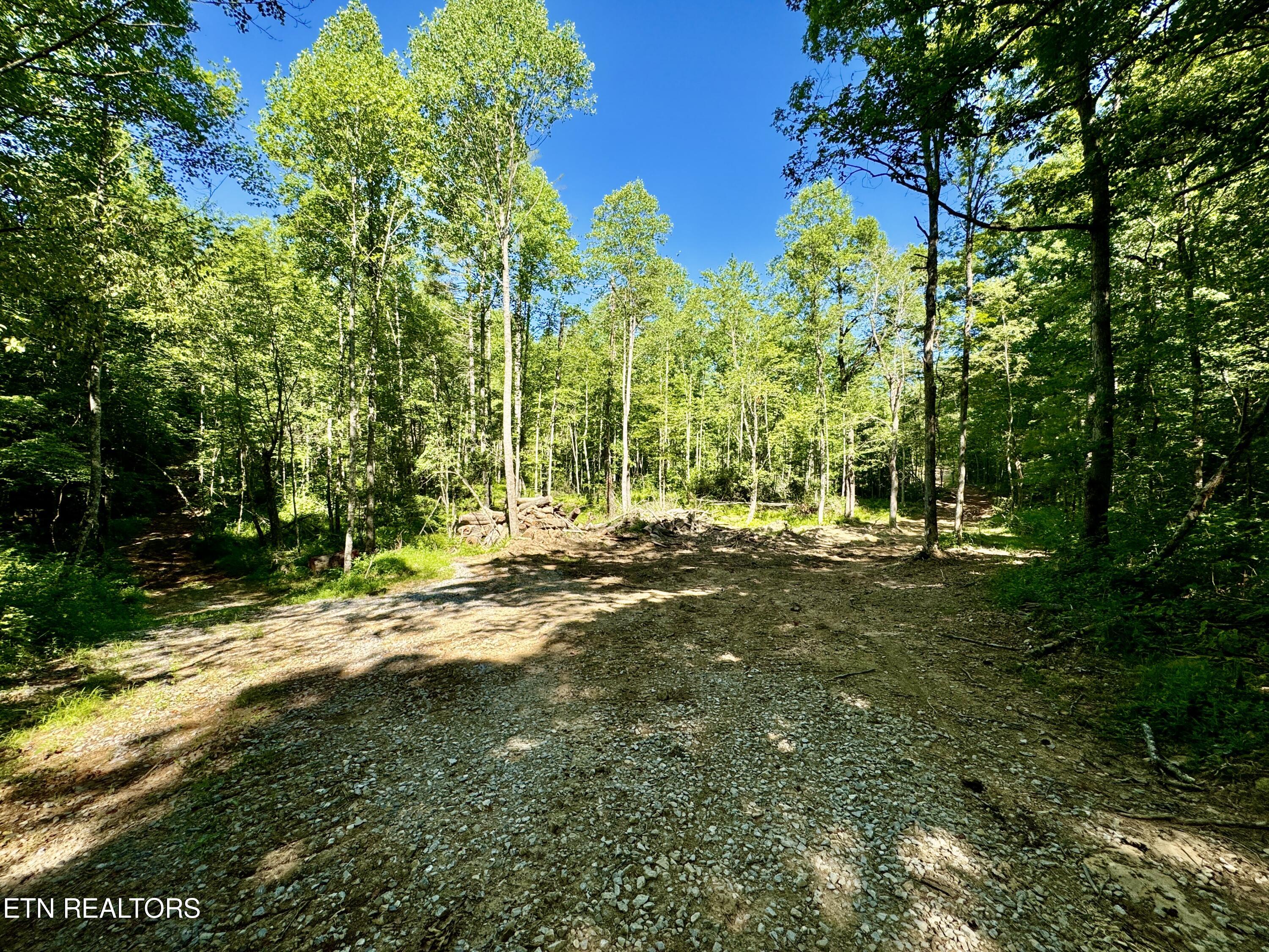 South Rome Road Lancing, TN 37770 - Photo 12 of 32 11