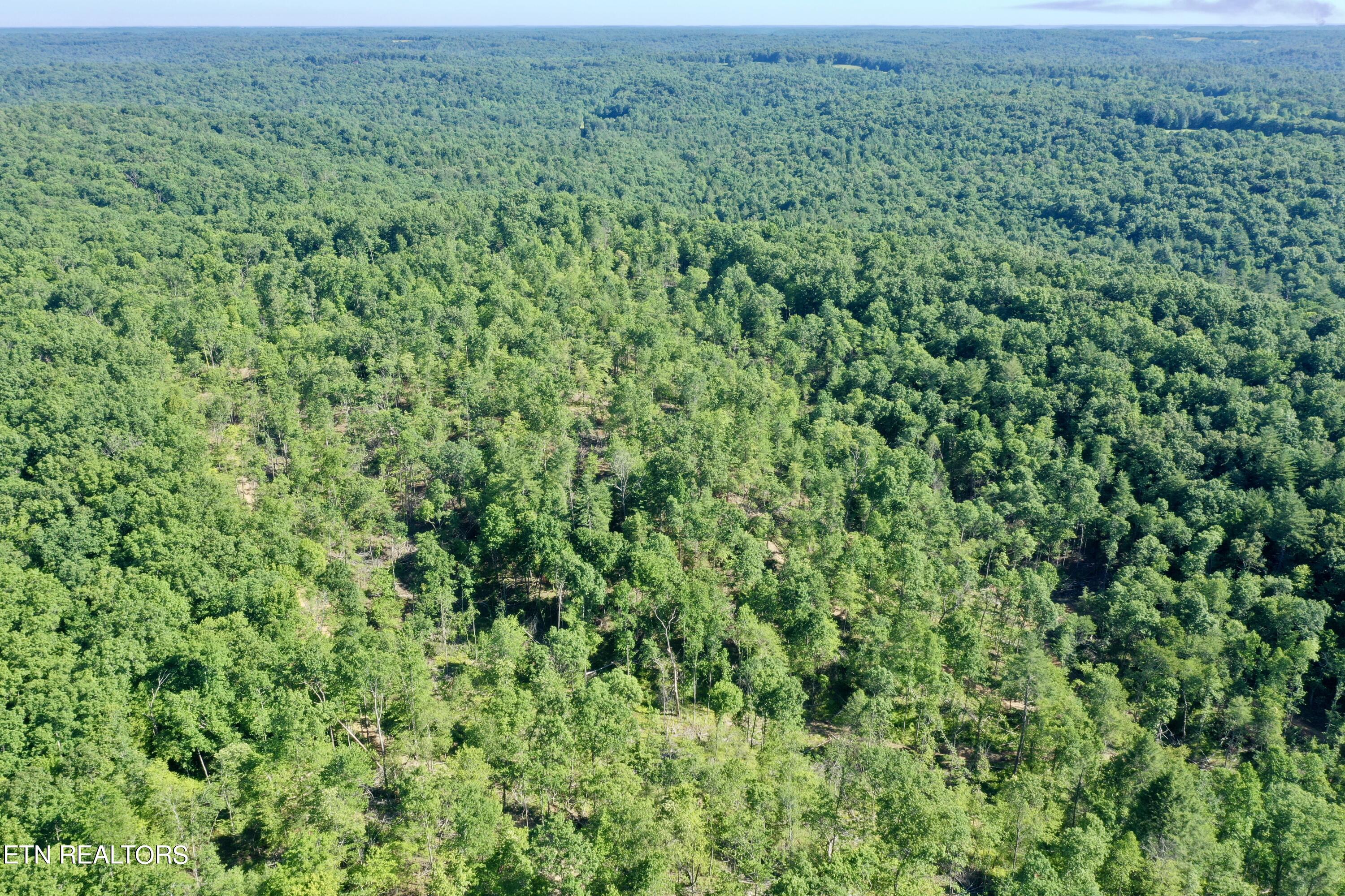South Rome Road Lancing, TN 37770 - Photo 21 of 32 DJI_0363