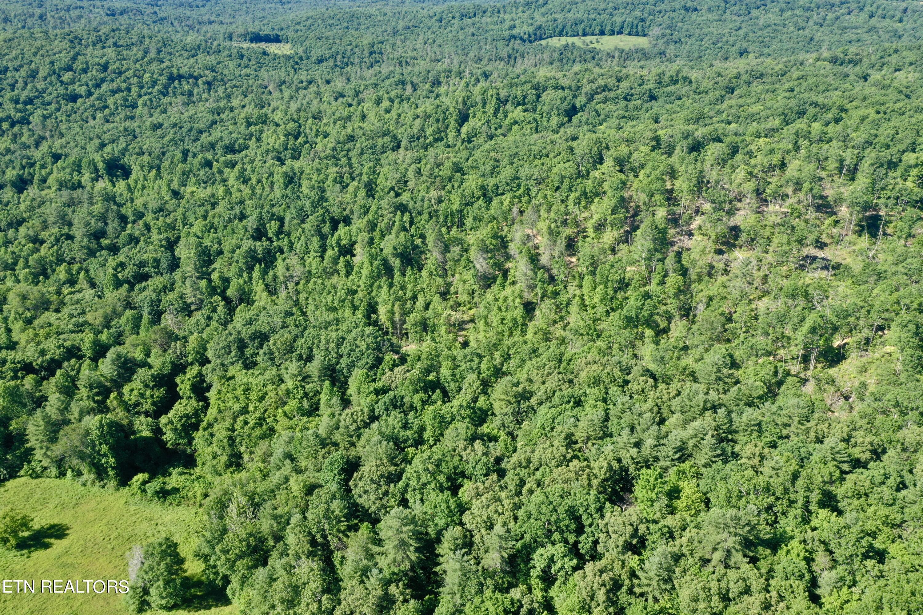 South Rome Road Lancing, TN 37770 - Photo 25 of 32 DJI_0375