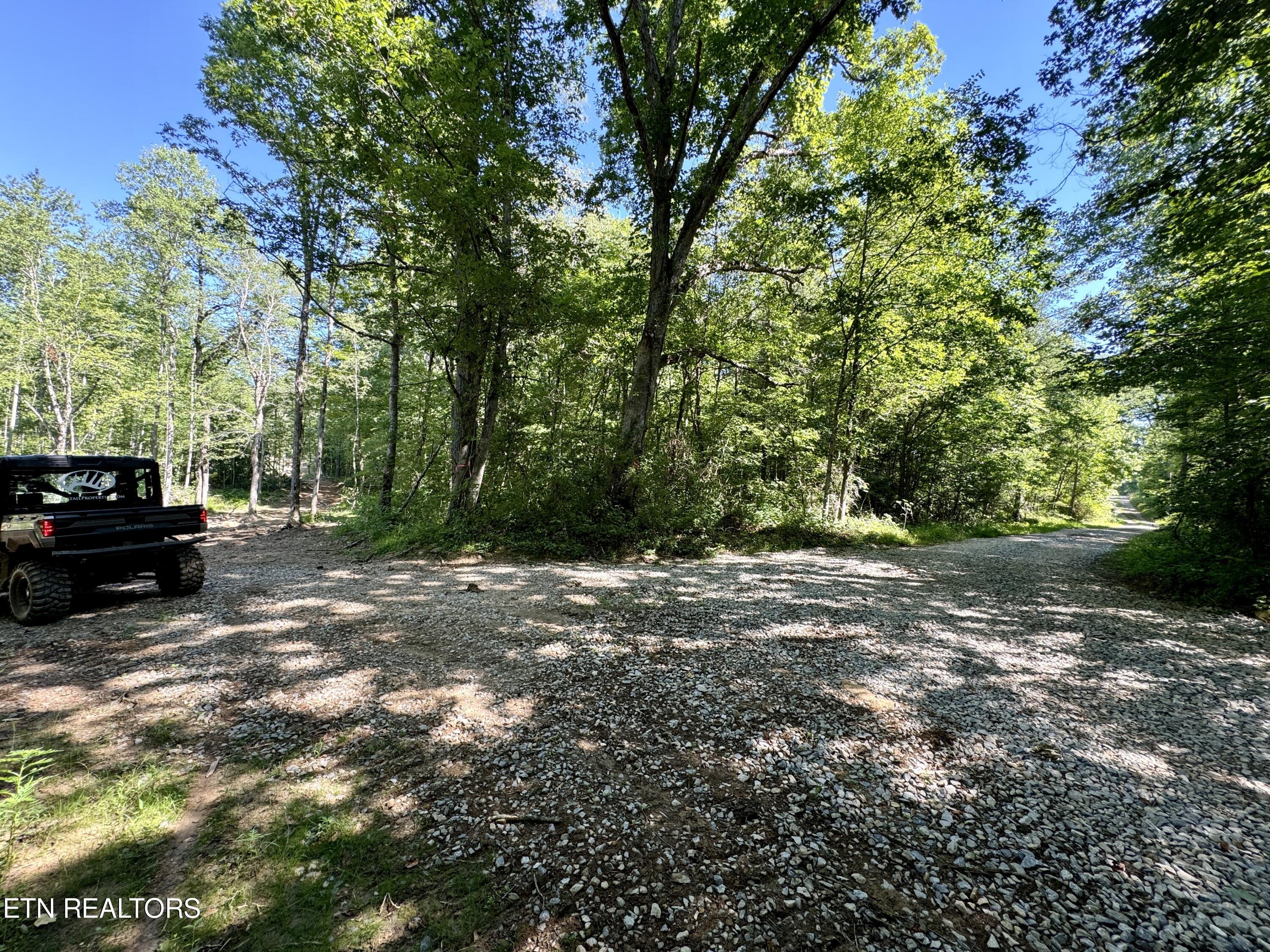 South Rome Road Lancing, TN 37770 - Photo 10 of 32 9WP