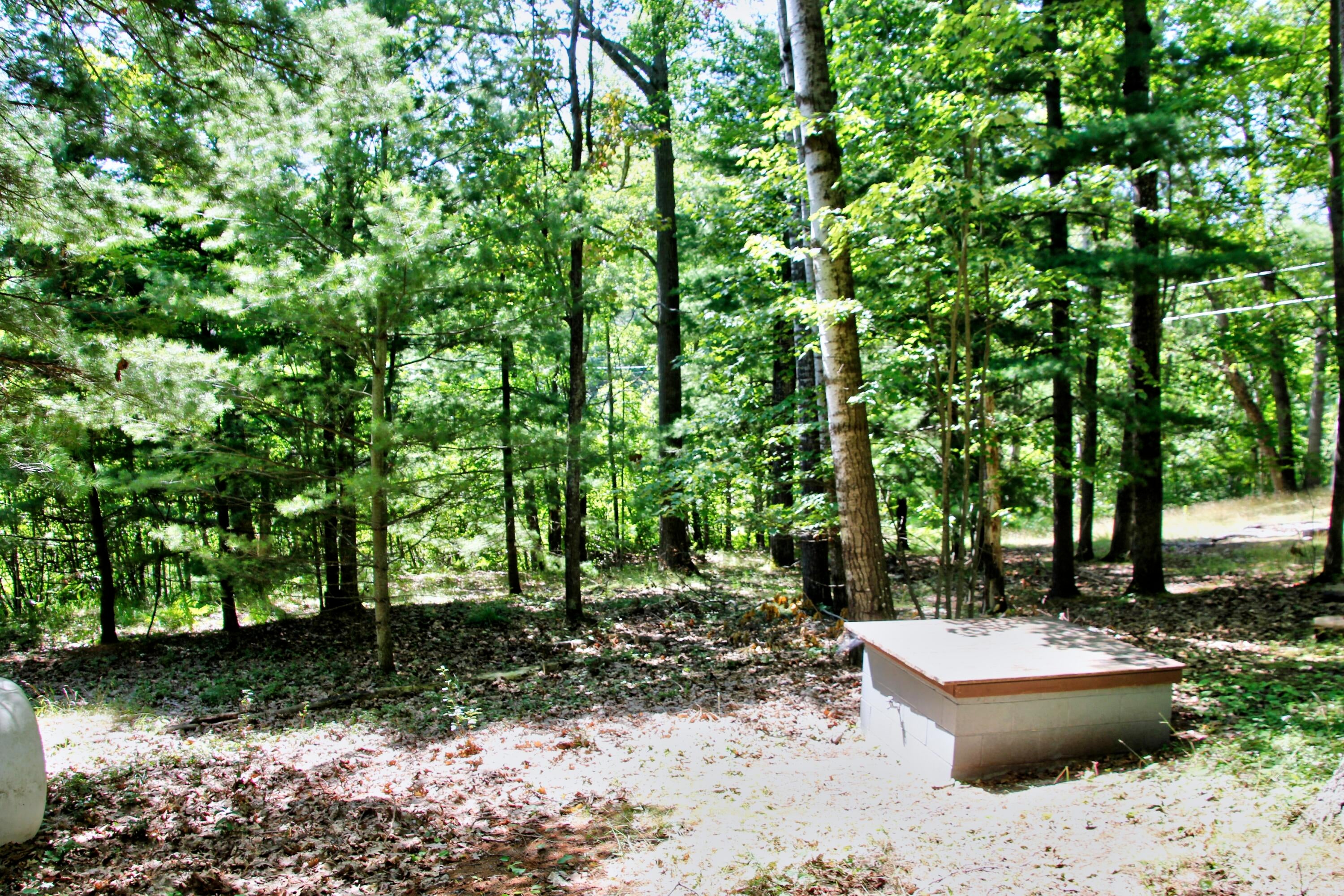 14125 Pointe Road Atlanta, MI 49709 - Photo 18 of 25 Gallery Image 18