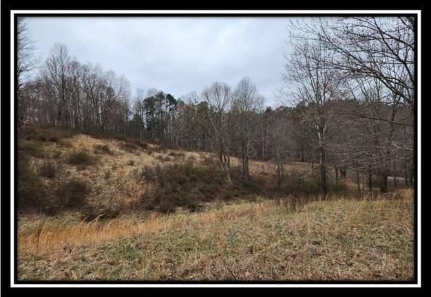0 Metheny Fairplay Road, Unit TRACT 1) Vinton, OH 45686 - Photo 21 of 41 image020
