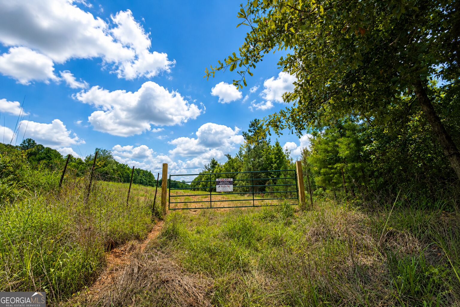 29-acres Cochran Road Madison, GA 30650 - Photo 7 of 23 Gallery Image 7