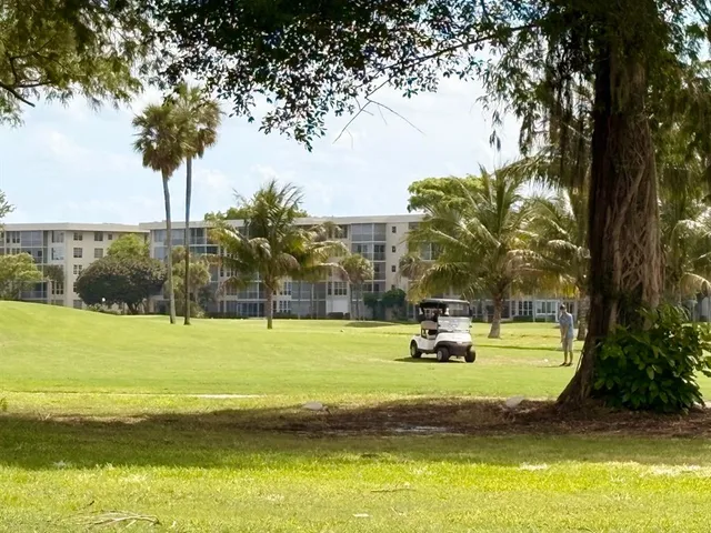 a view of a park with large trees
