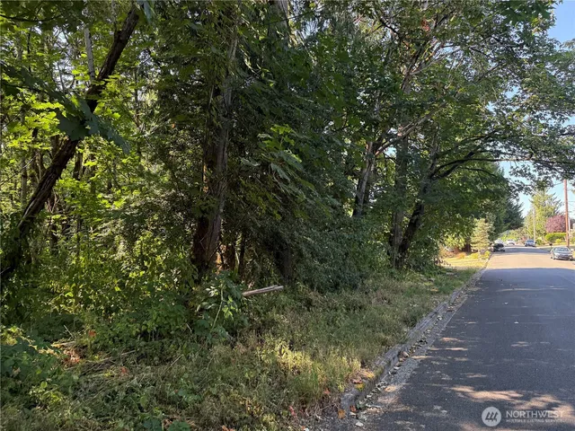 a view of a yard with plants and trees