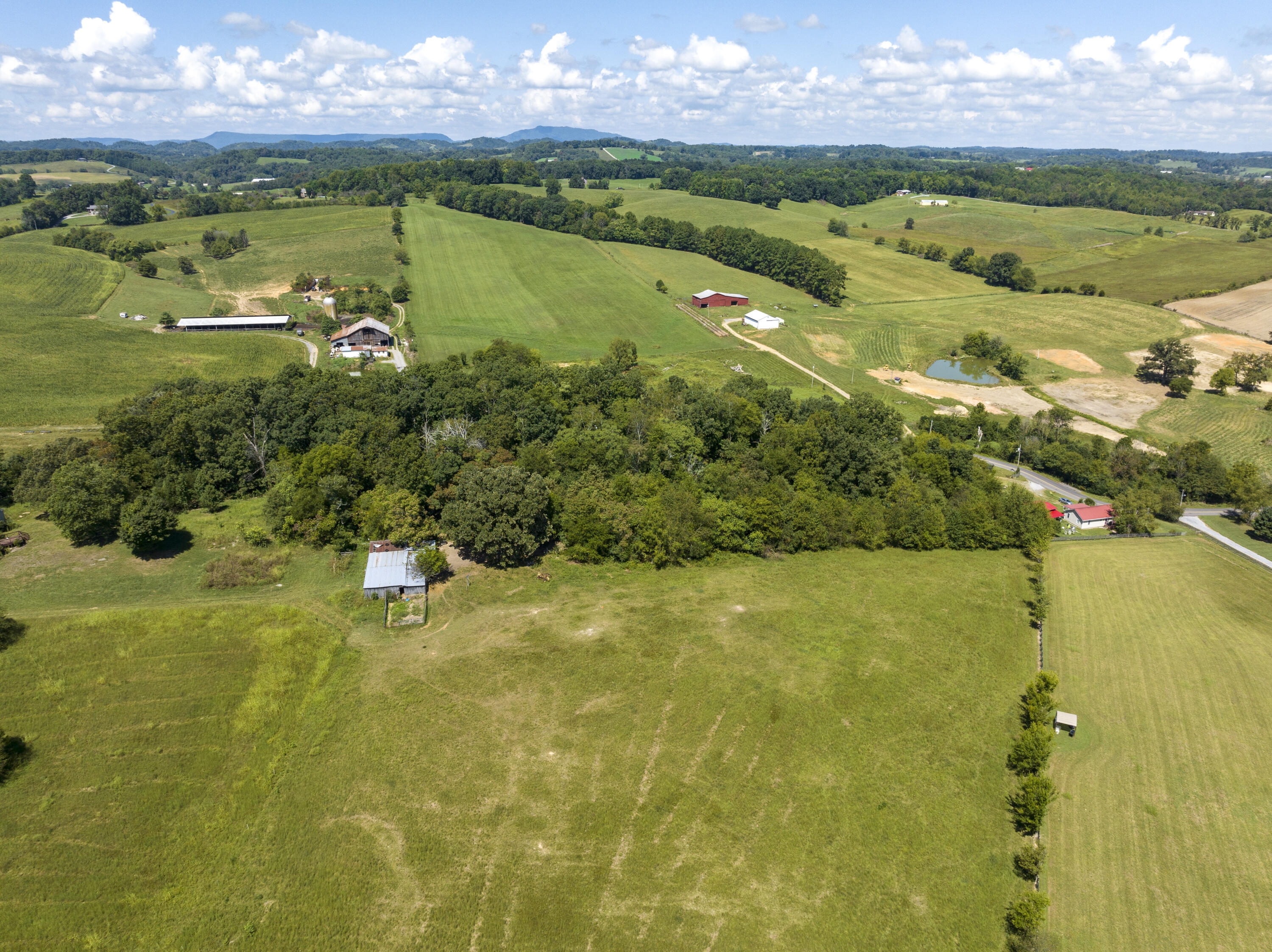 Tbd C D Williams Road Limestone, TN 37681 - Photo 7 of 10 CdWilliams--7
