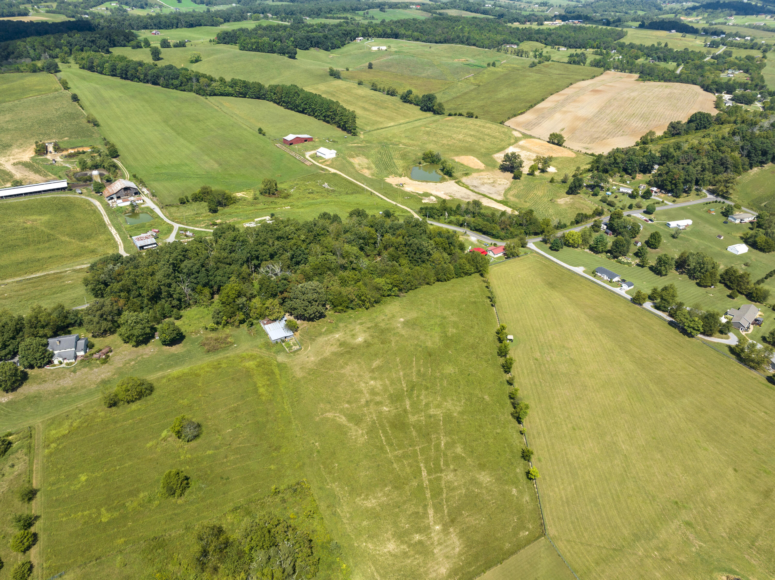 Tbd C D Williams Road Limestone, TN 37681 - Photo 10 of 10 CdWilliams--24
