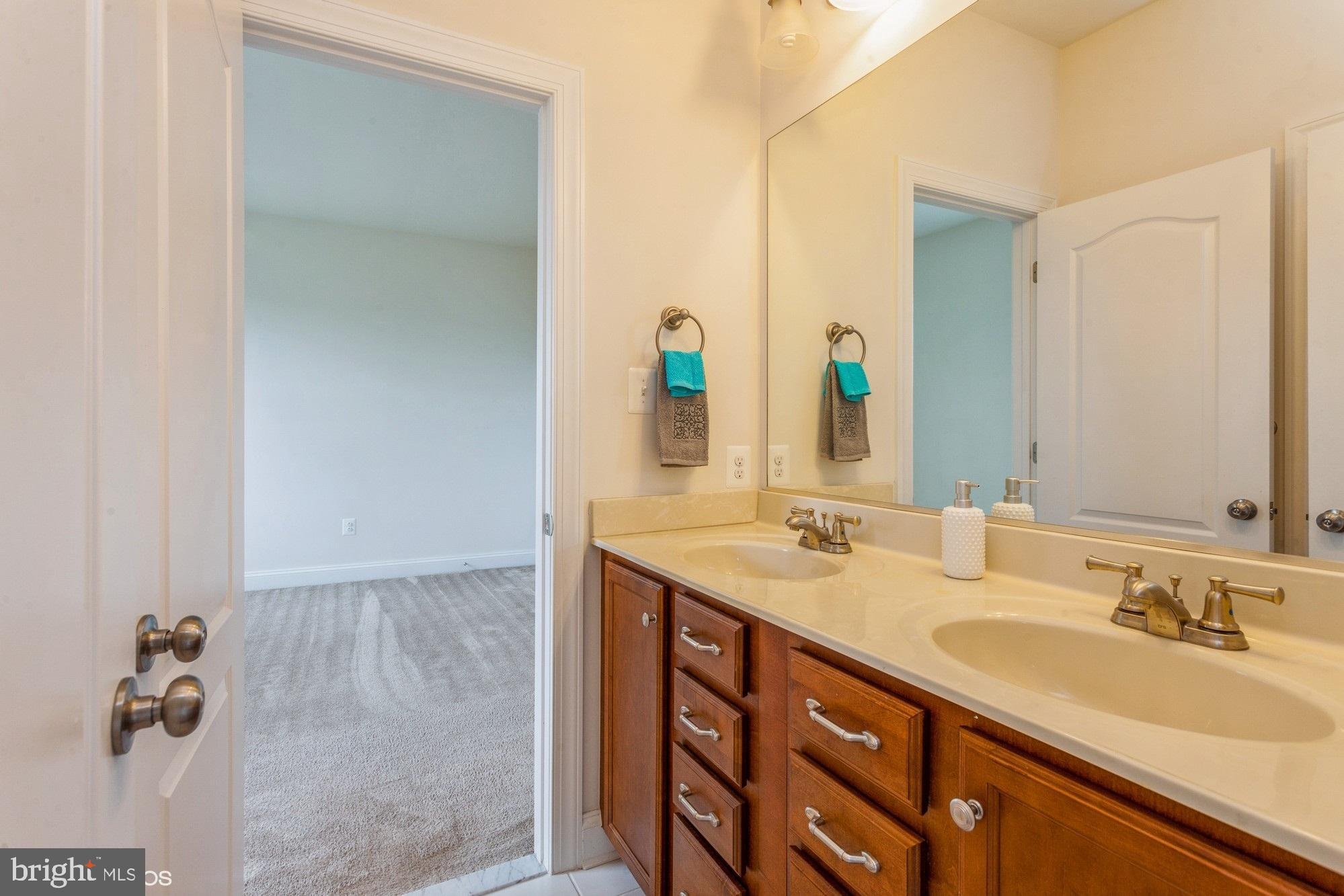 1168 Margath Road Westminster, MD 21157 - Photo 50 of 85 alter picture J&J bath