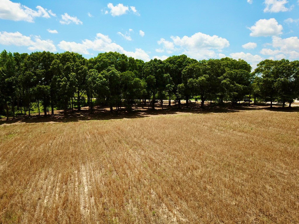 92 County Road 92 Slocomb, AL 36375 - Photo 12 of 58
