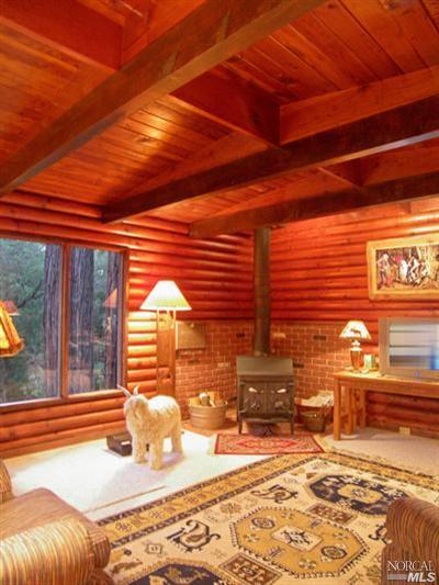 18325 Old Monte Rio Road Guerneville, CA 95446 - Photo 3 of 11 another living room pic.