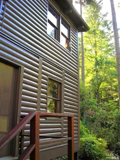 18325 Old Monte Rio Road Guerneville, CA 95446 - Photo 6 of 11 Back of house stairway to fruit trees and a gorgeous stansd of redwoods.