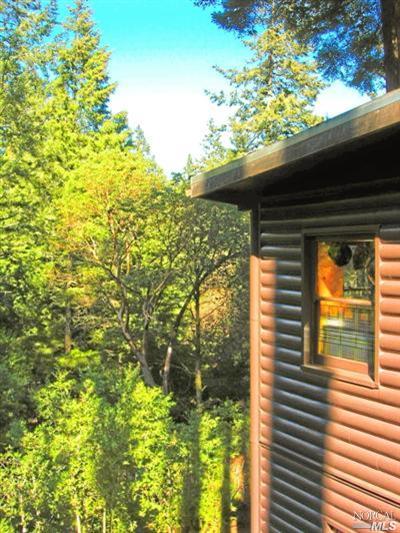 18325 Old Monte Rio Road Guerneville, CA 95446 - Photo 8 of 11 More sun!