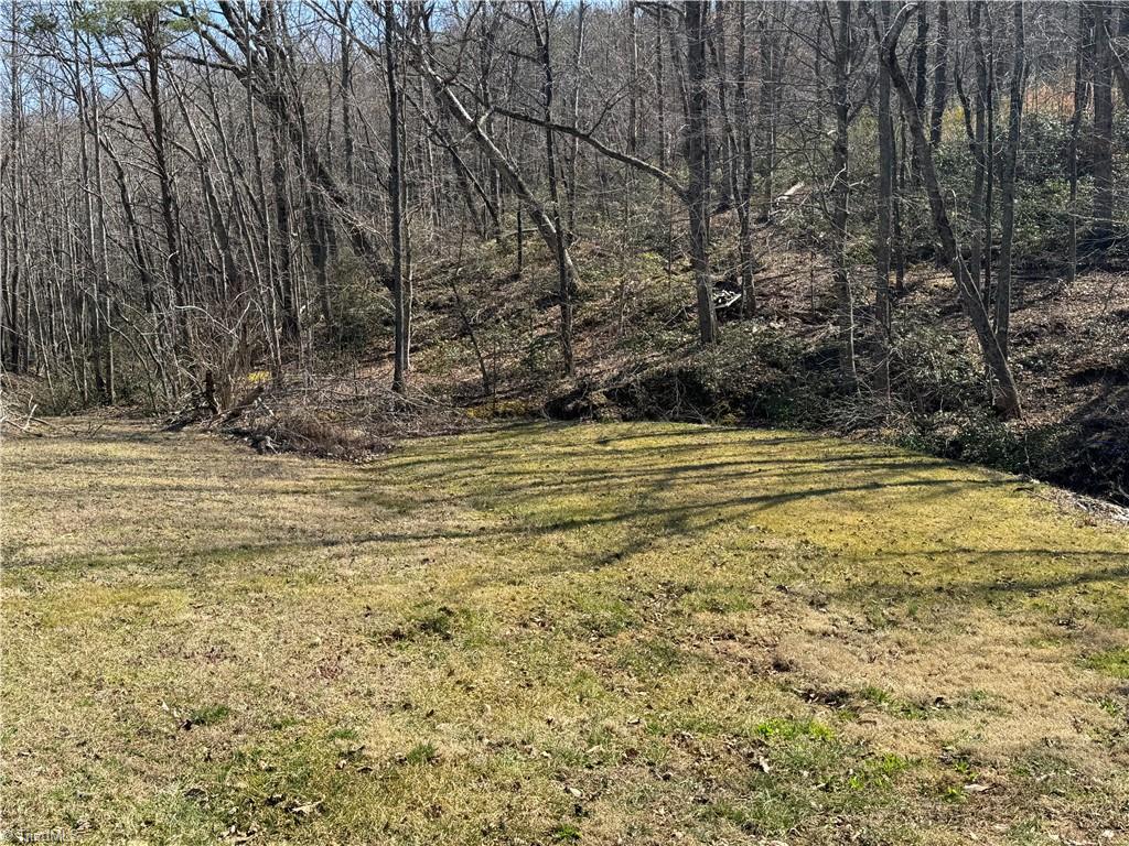 0 YMCA Camp Road King, NC 27021 - Photo 14 of 17