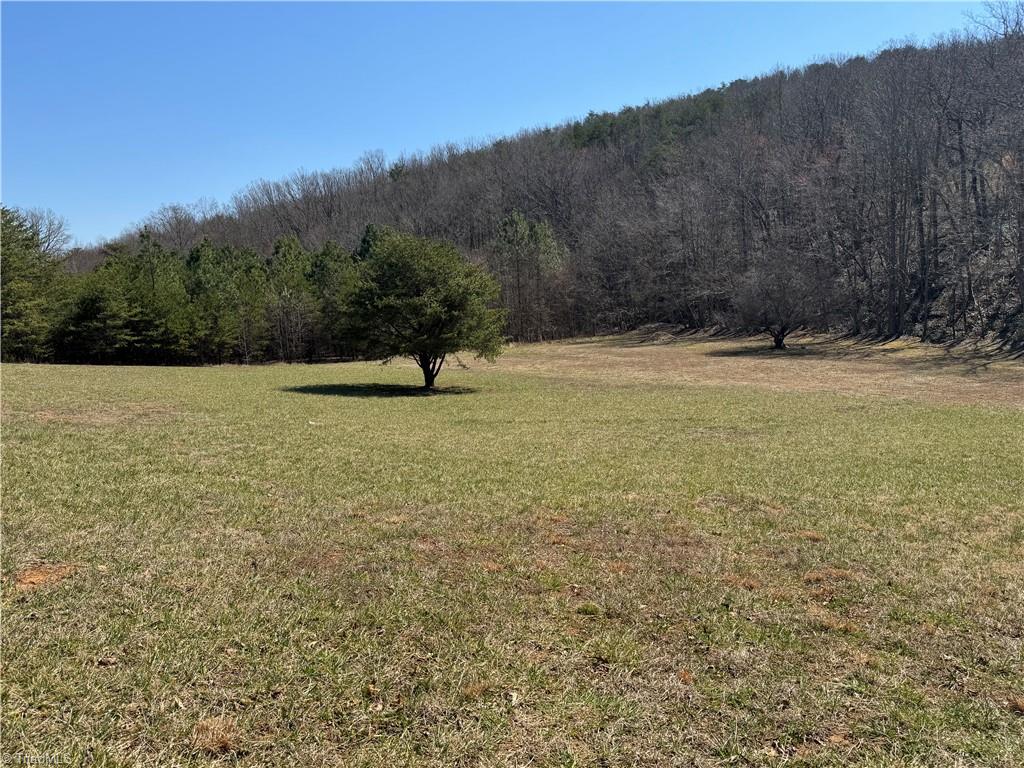 0 YMCA Camp Road King, NC 27021 - Photo 2 of 17