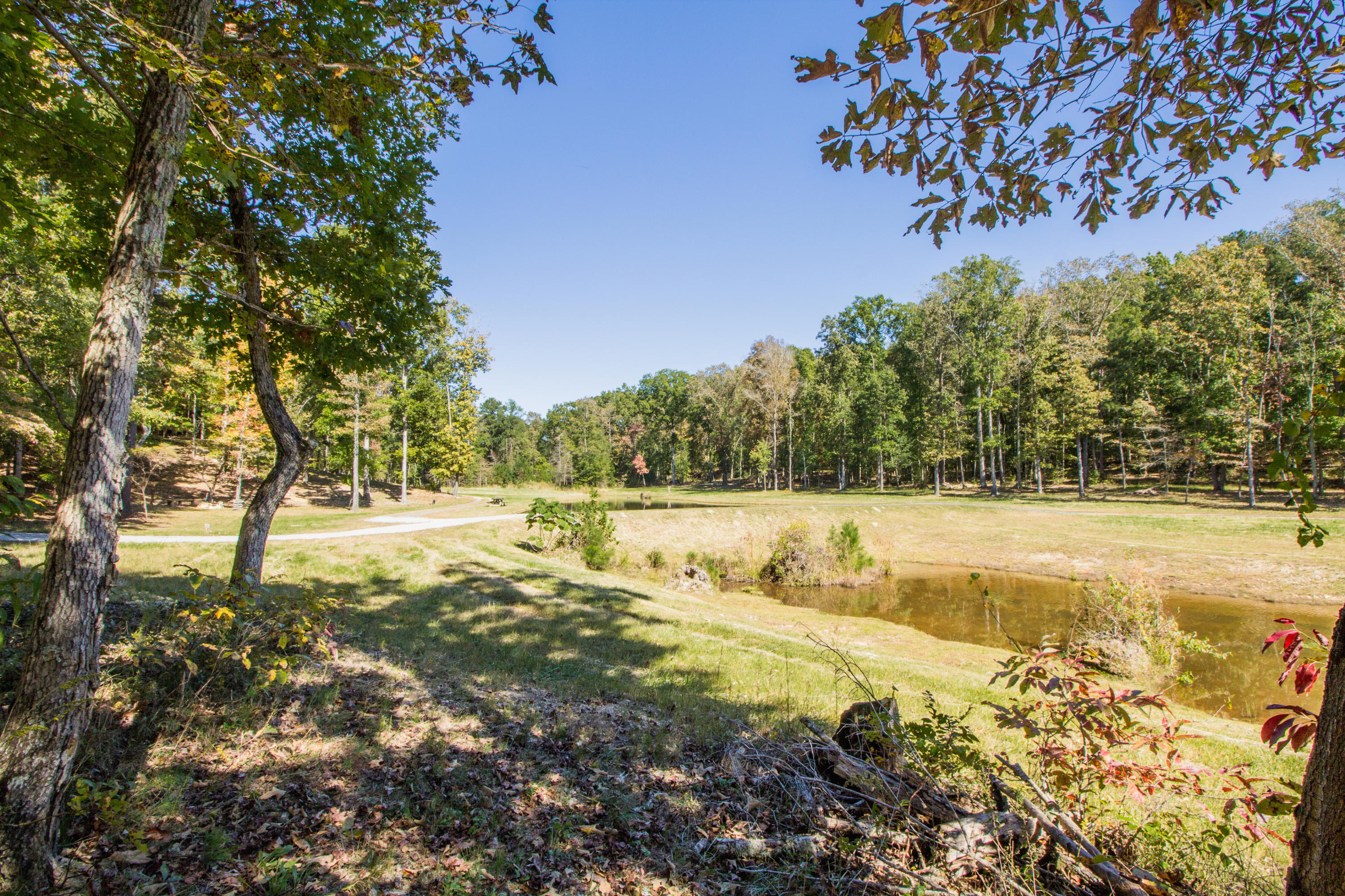 387 Richardson Road LaFayette, GA 30728 - Photo 41 of 65 Land