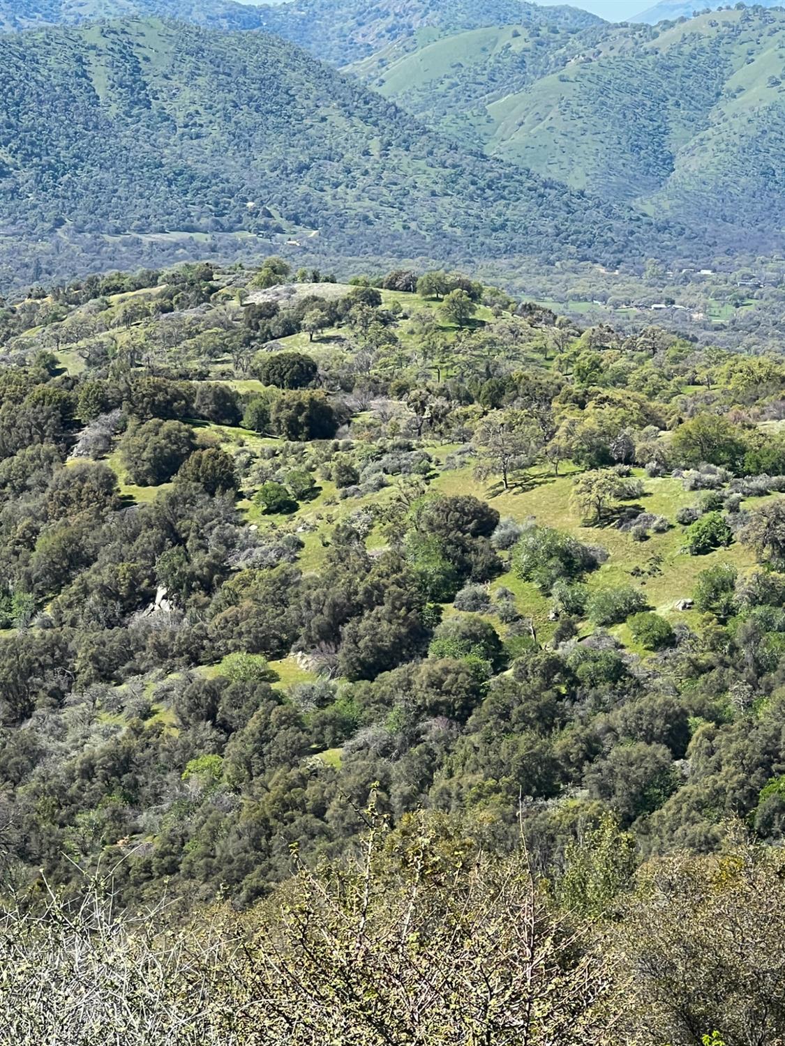 44981 Todd Eymann Road Dunlap, CA 93621 - Photo 73 of 74 Gallery Image 73