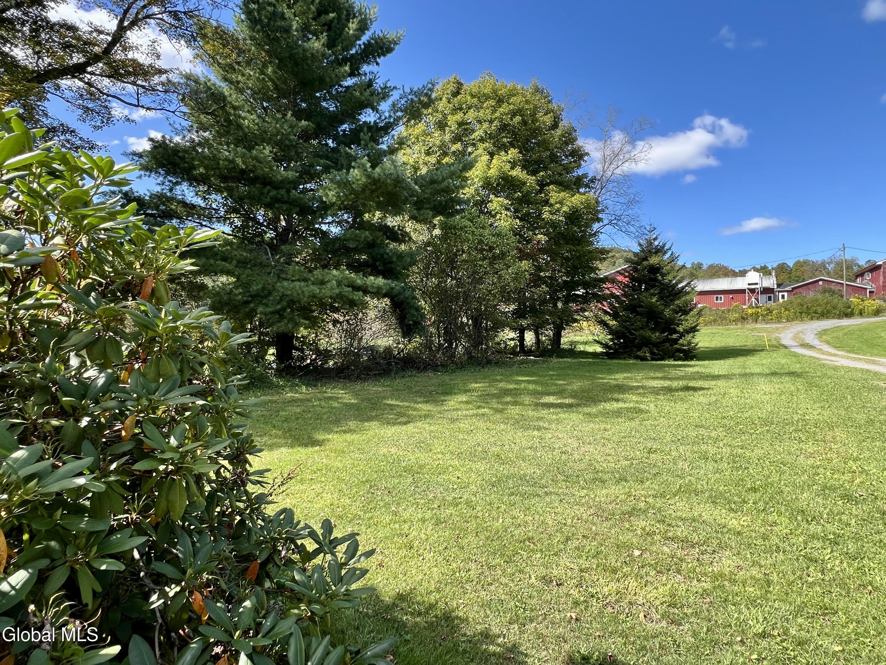 635 Charlotte Valley Road Summit, NY 12036 - Photo 3 of 30 IMG_9860