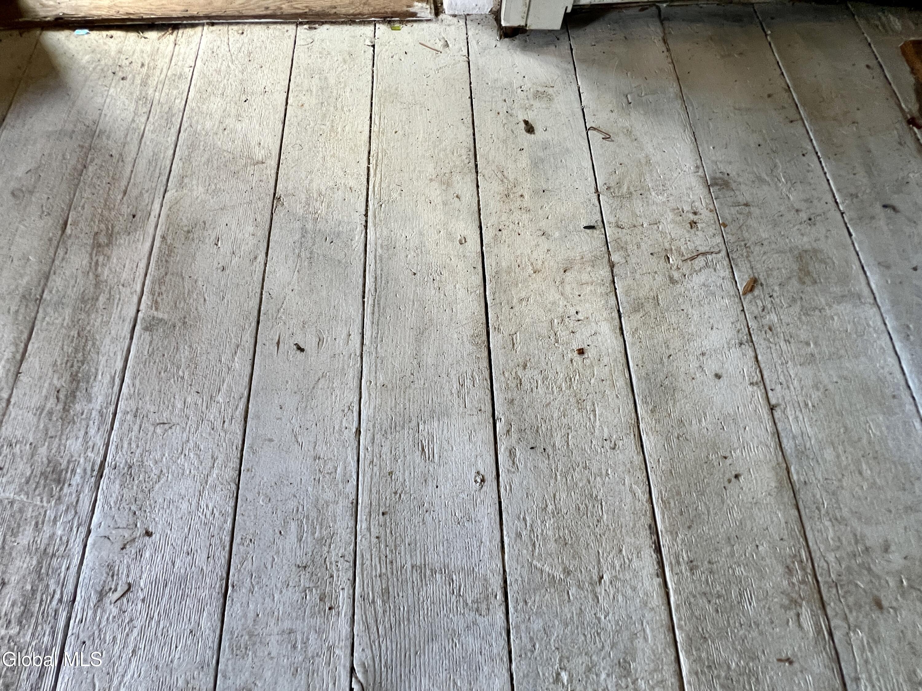 635 Charlotte Valley Road Summit, NY 12036 - Photo 9 of 30 IMG_9882