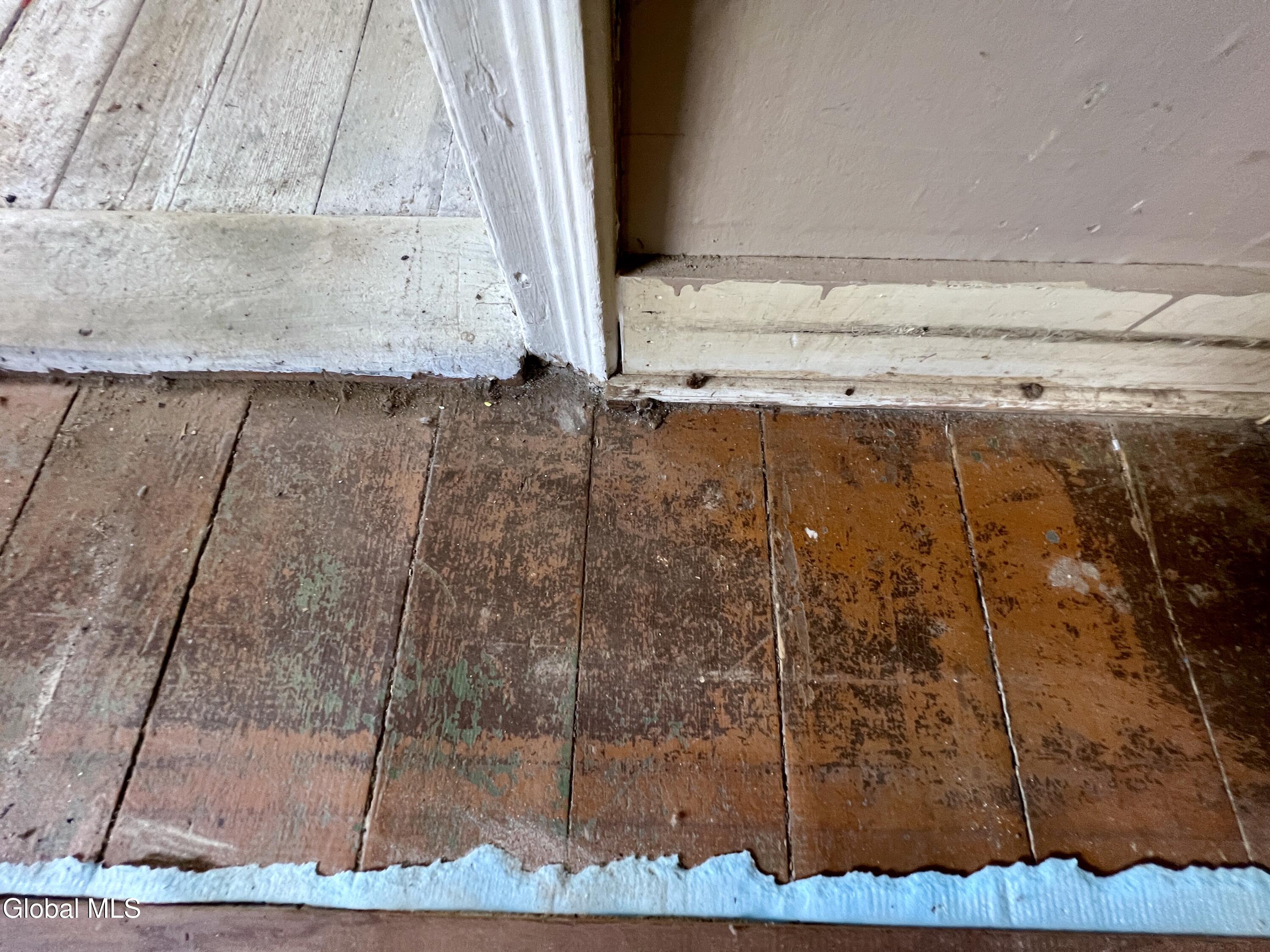 635 Charlotte Valley Road Summit, NY 12036 - Photo 10 of 30 IMG_9881