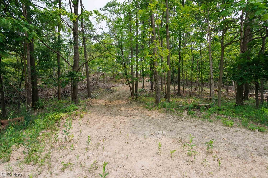 Northeast Gintz Road Dover, OH 44622 - Photo 7 of 14 Gallery Image 7