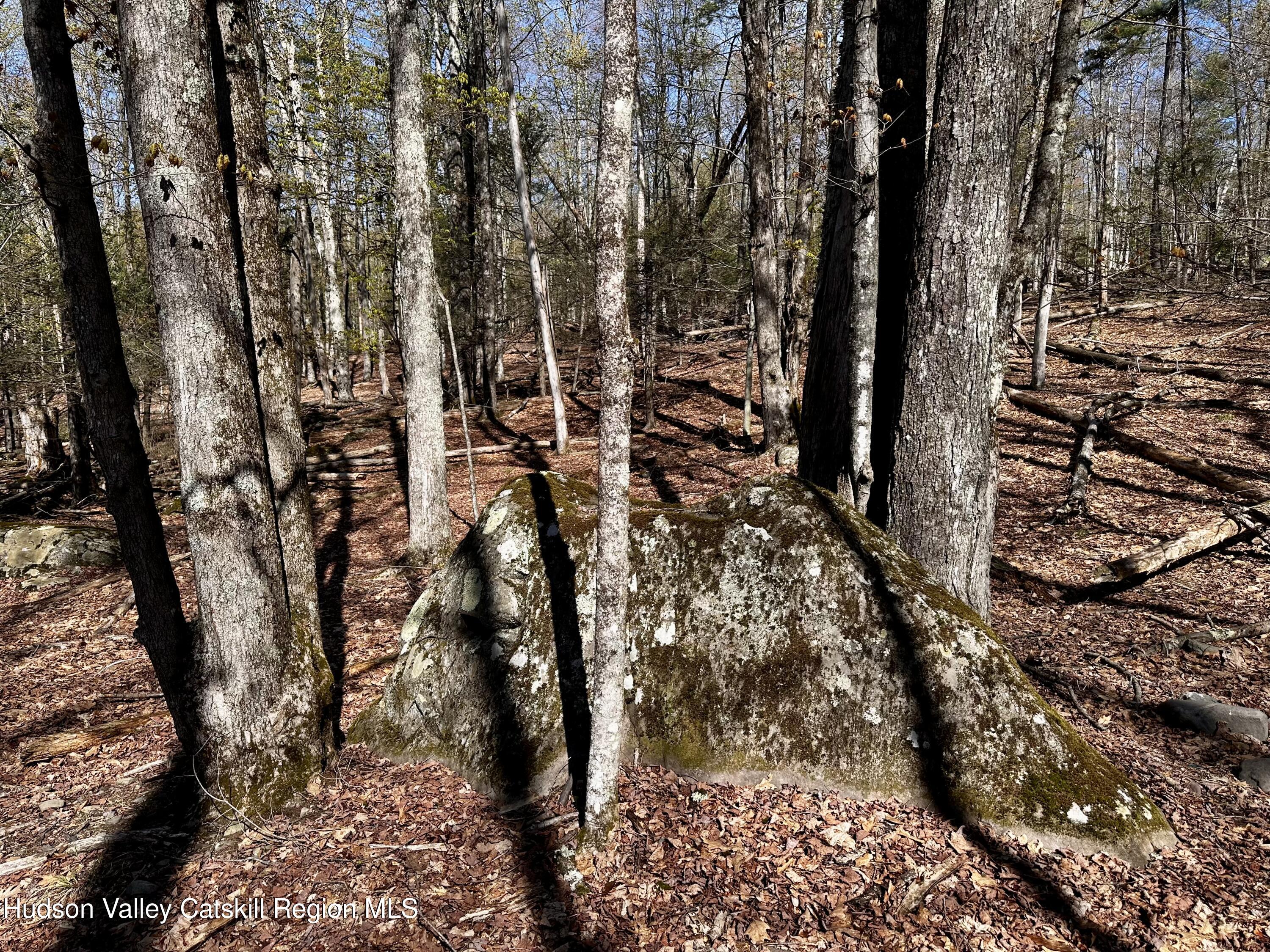 -lot Cross Patch Road Willow, NY 12495 - Photo 11 of 13 IMG_6552
