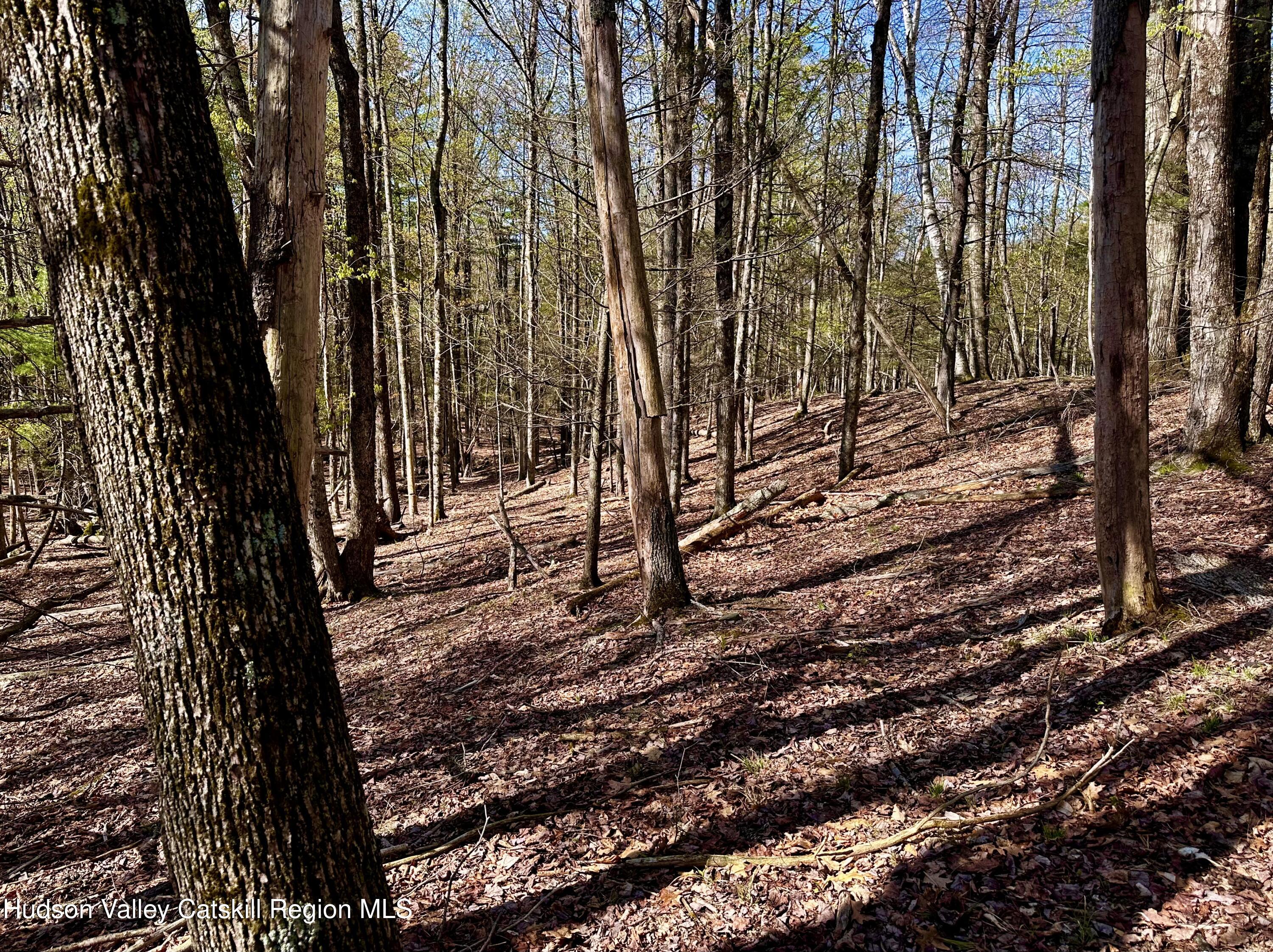 -lot Cross Patch Road Willow, NY 12495 - Photo 12 of 13 IMG_6553