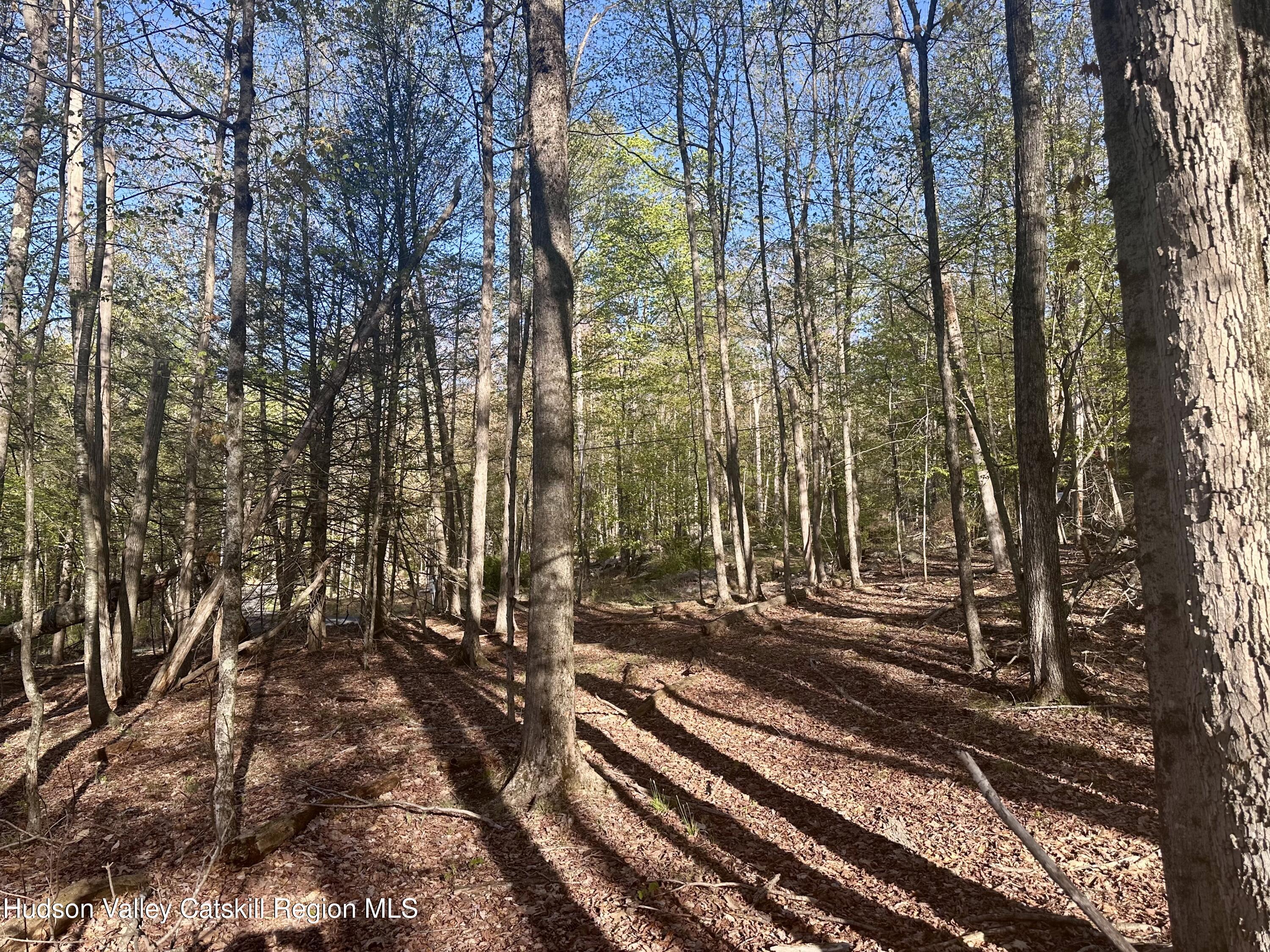 -lot Cross Patch Road Willow, NY 12495 - Photo 2 of 13 IMG_6635