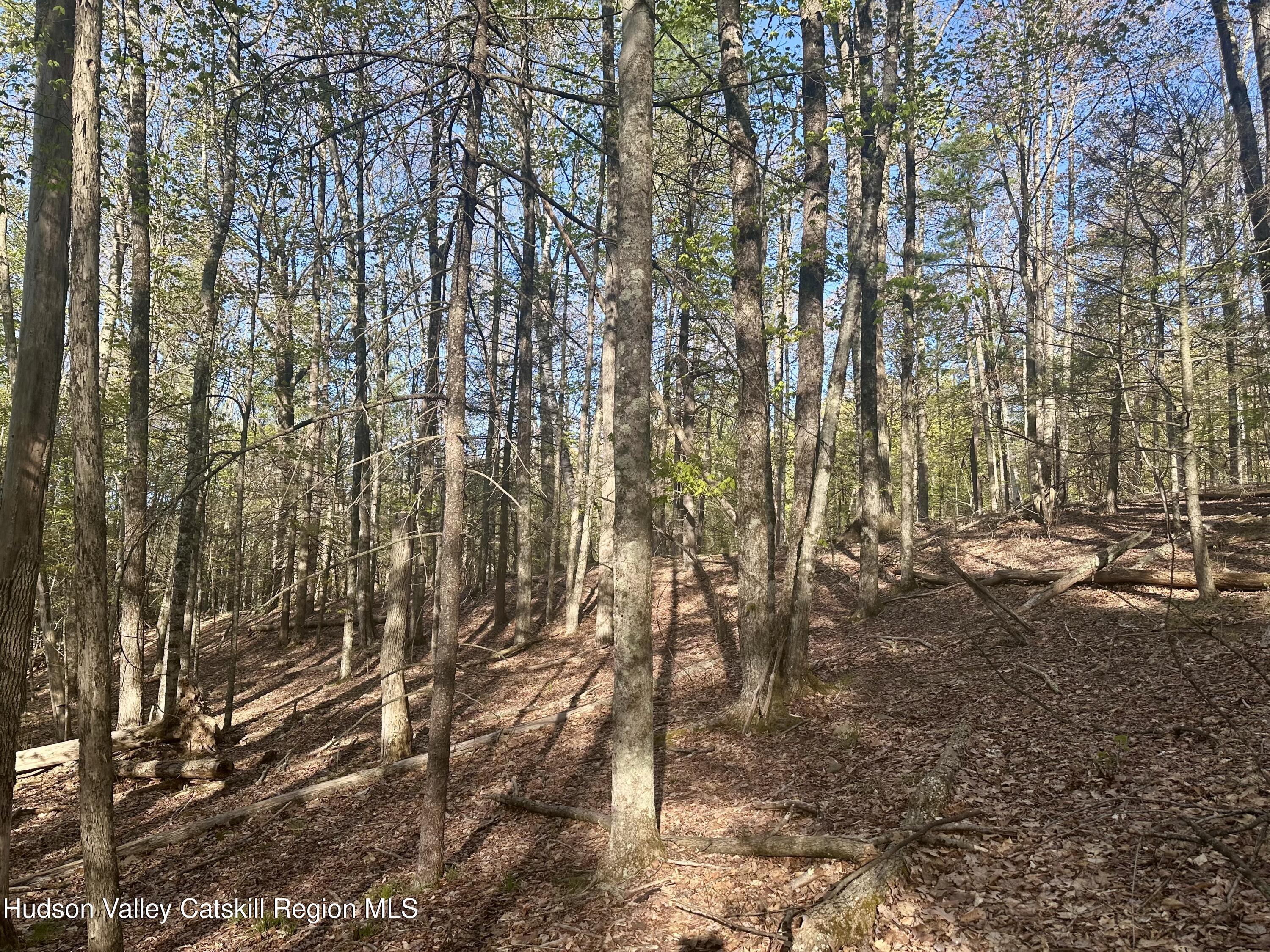 -lot Cross Patch Road Willow, NY 12495 - Photo 3 of 13 IMG_6630