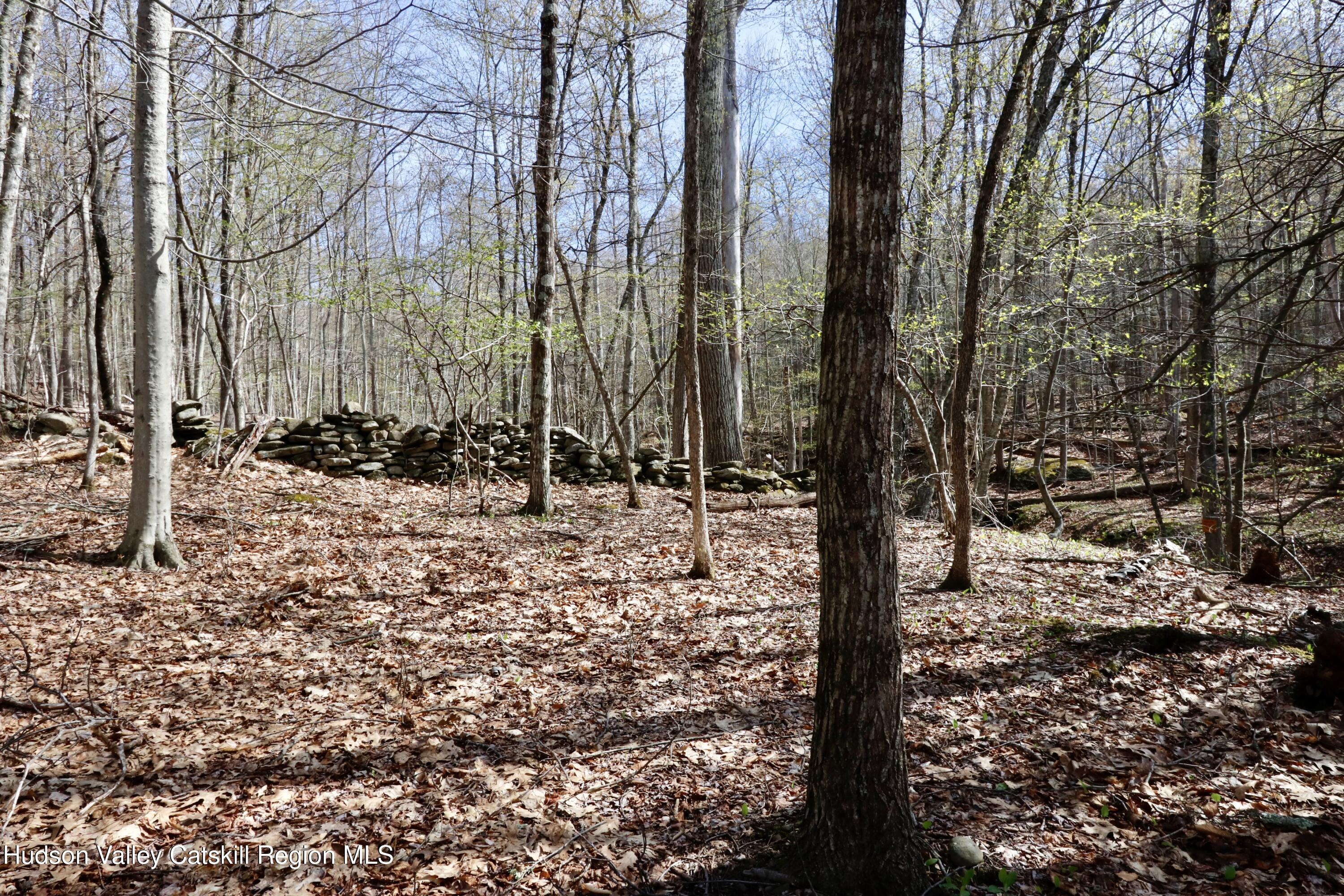 -lot Cross Patch Road Willow, NY 12495 - Photo 5 of 13 _MG_2914