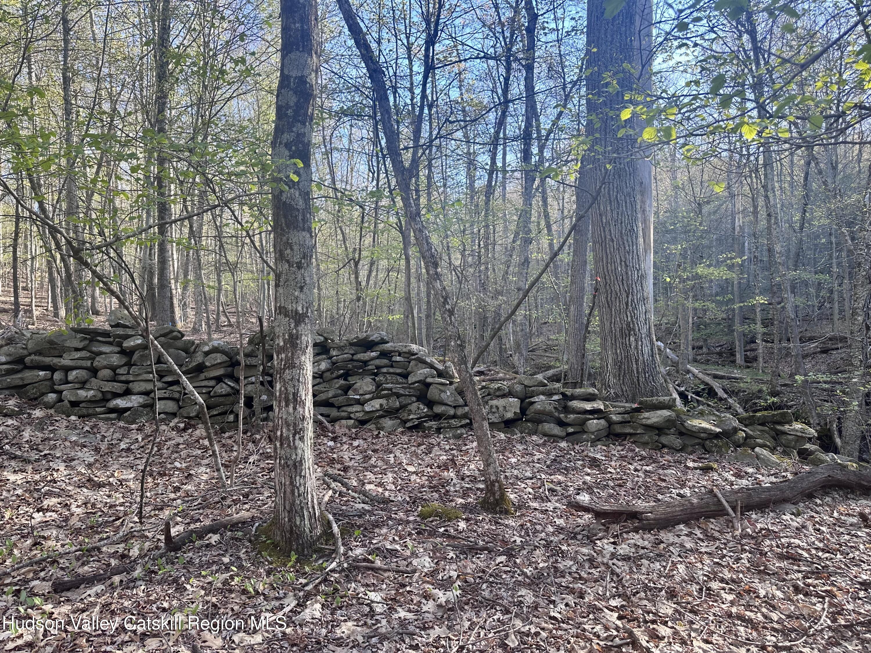 -lot Cross Patch Road Willow, NY 12495 - Photo 6 of 13 IMG_6627