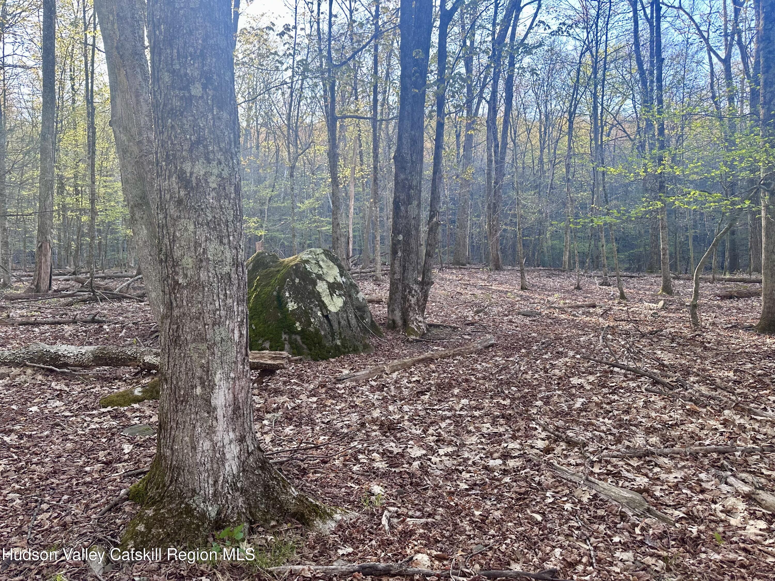 -lot Cross Patch Road Willow, NY 12495 - Photo 7 of 13 IMG_6615
